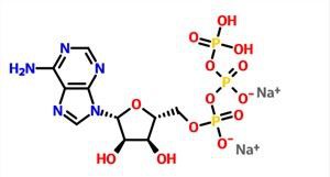 Disodium Triphosphate Adenosine CAS UIMH. 987-65-5